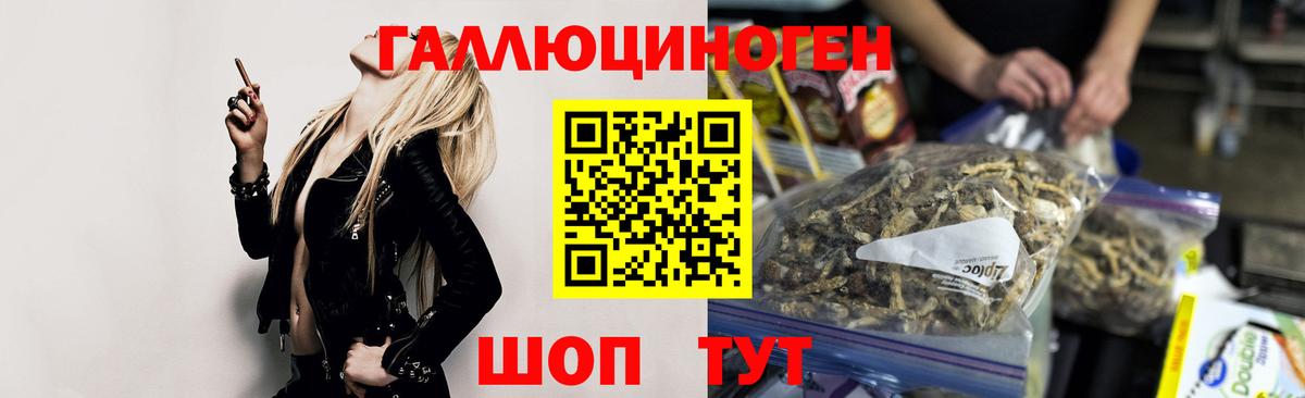 Арсеньев  хочу   Вход с VPN  Галлюциногенные грибы мухоморы 